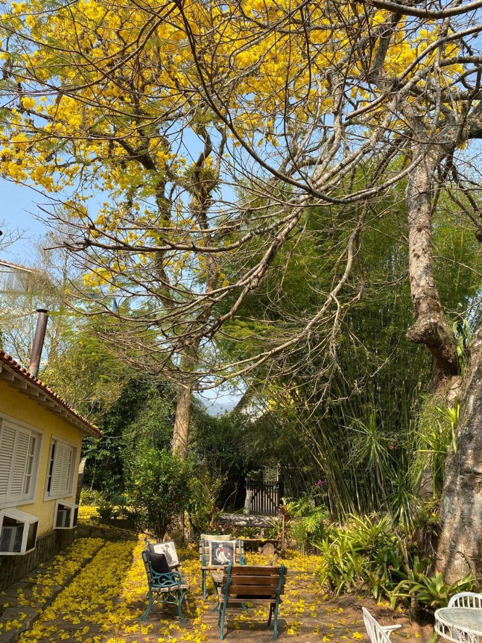 Pousada Casa Do Ipe Amarelo Miguel Pereira Eksteriør billede