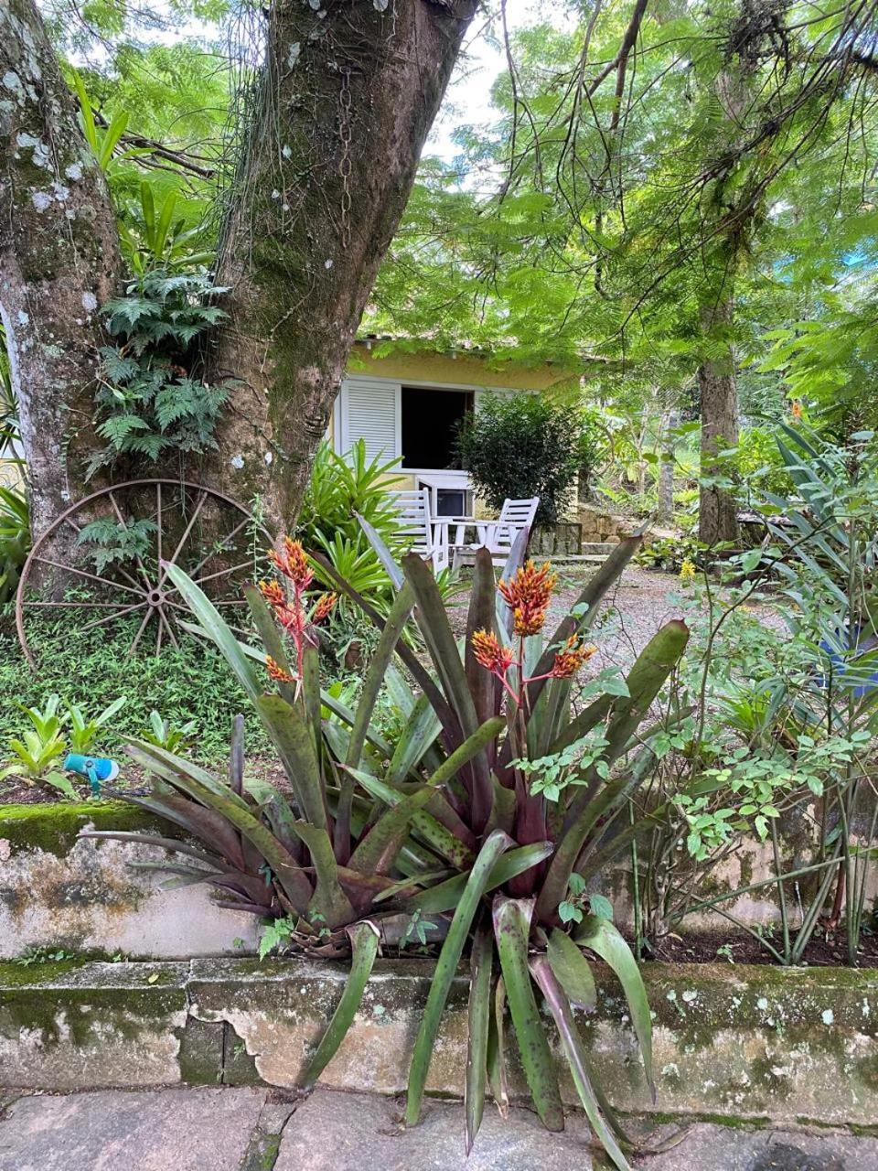 Pousada Casa Do Ipe Amarelo Miguel Pereira Eksteriør billede