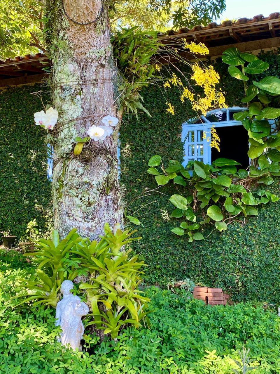 Pousada Casa Do Ipe Amarelo Miguel Pereira Eksteriør billede