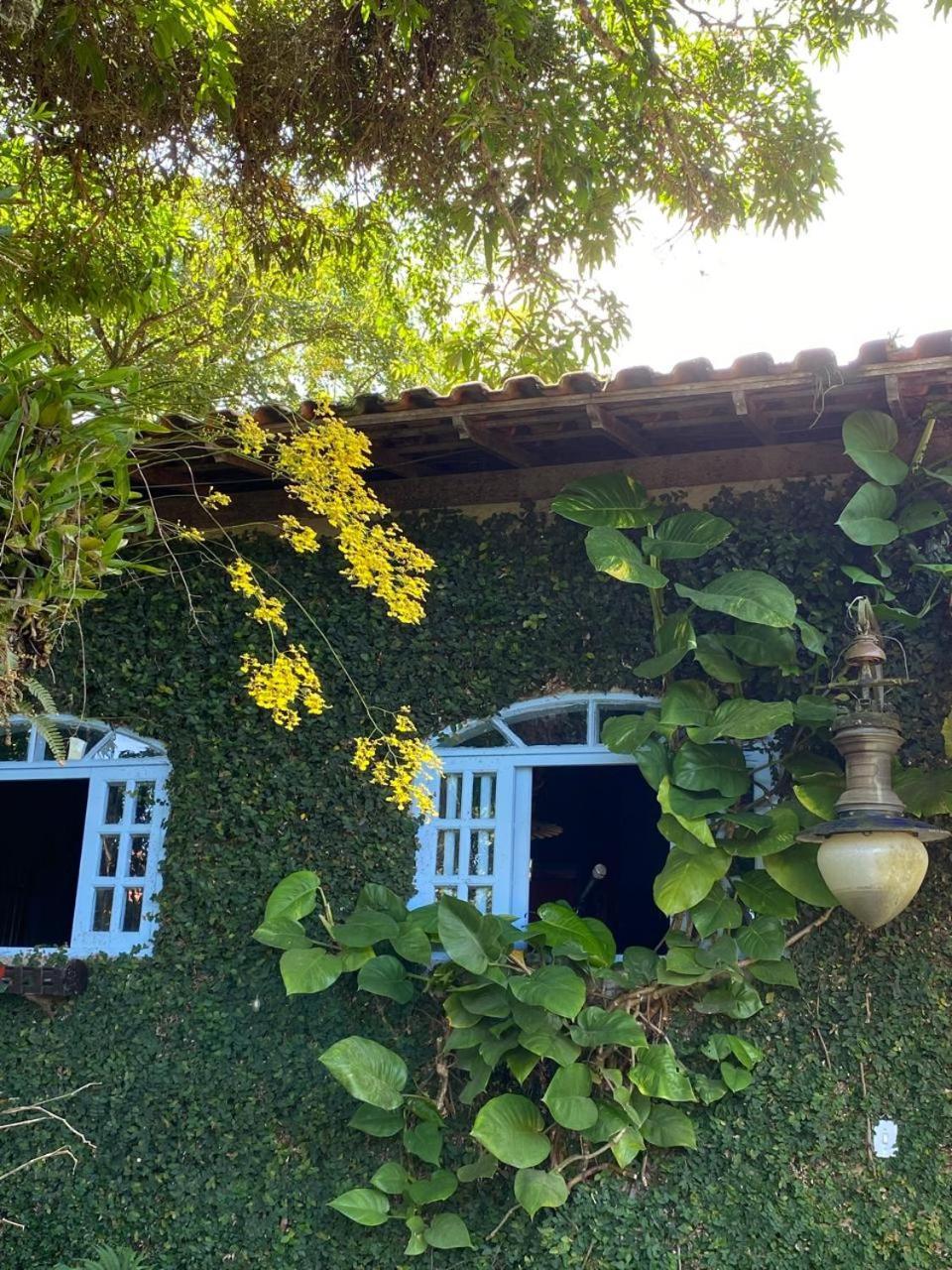 Pousada Casa Do Ipe Amarelo Miguel Pereira Eksteriør billede